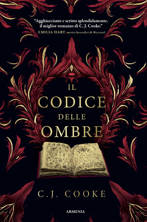 Il codice delle ombre