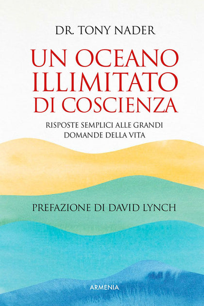 Un oceano illimitato di coscienza. Risposte semplici alle grandi domande della vita