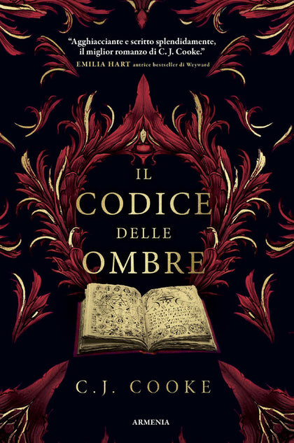 Il codice delle ombre